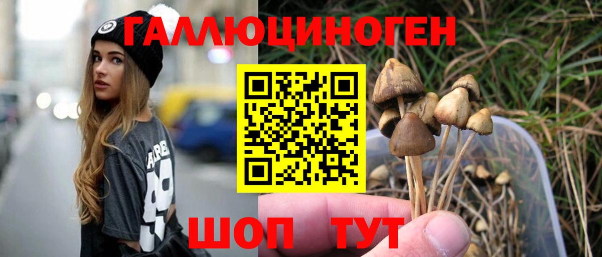 Кинешма  Псилоцибиновые грибы GOLDEN TEACHER  Вход с VPN 